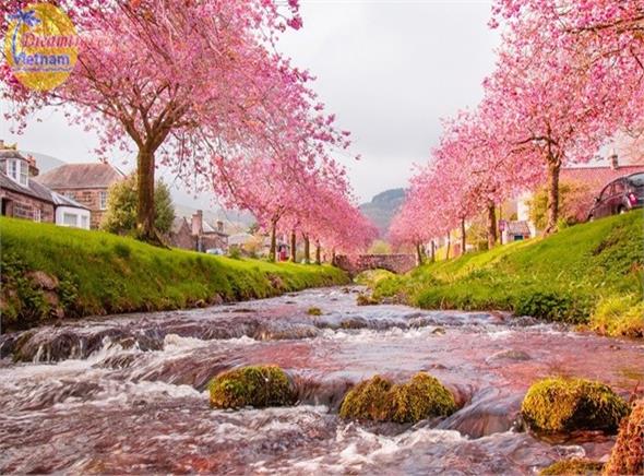 Tour mới Mùa Hoa anh Đào NIKKO - TOKYO - PHÚ SỸ - HAMAMATSU - KYOTO - OSAKA Tour mới Mùa Hoa anh Đào NIKKO - TOKYO - PHÚ SỸ - HAMAMATSU - KYOTO - OSAKA